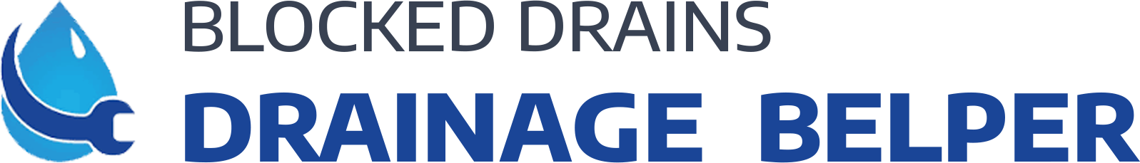website logo